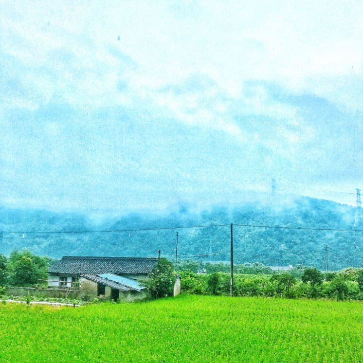 如果这世上真有桃花源,如果世间真的有伊甸园