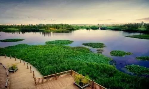 滇池边的湿地公园哪个值得去,滇池边最值得打卡的湿地