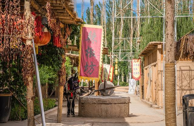 没想到，真有人在大漠建了一座能看星星的边城驿站