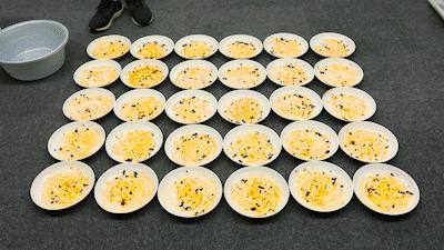 变态德国造！39元能洗净4500只盘子？！欧洲人都”喝它长大...