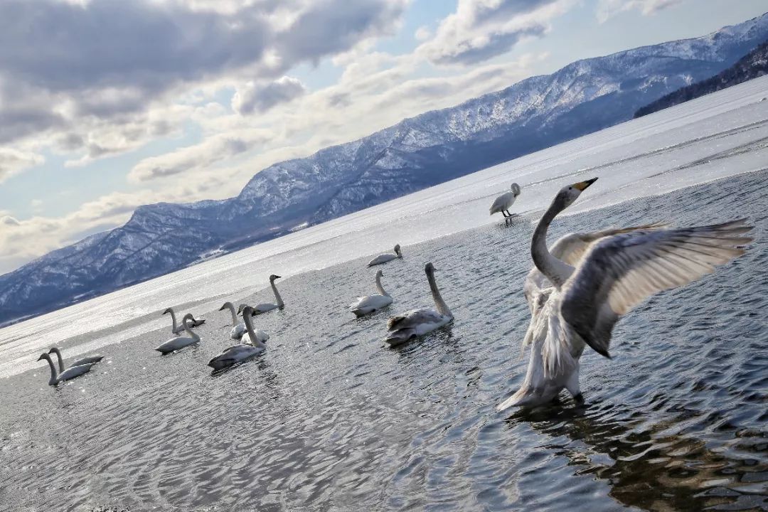 日本最后的秘境,日本最北端北海道