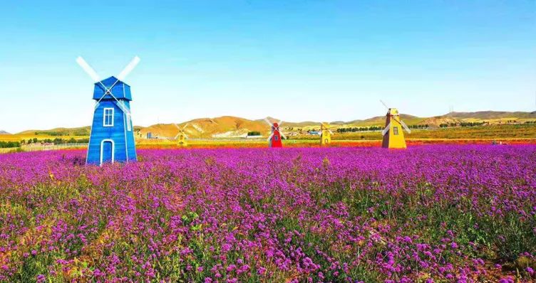 童话草原大套票,童话草原景区门票儿童购票标准