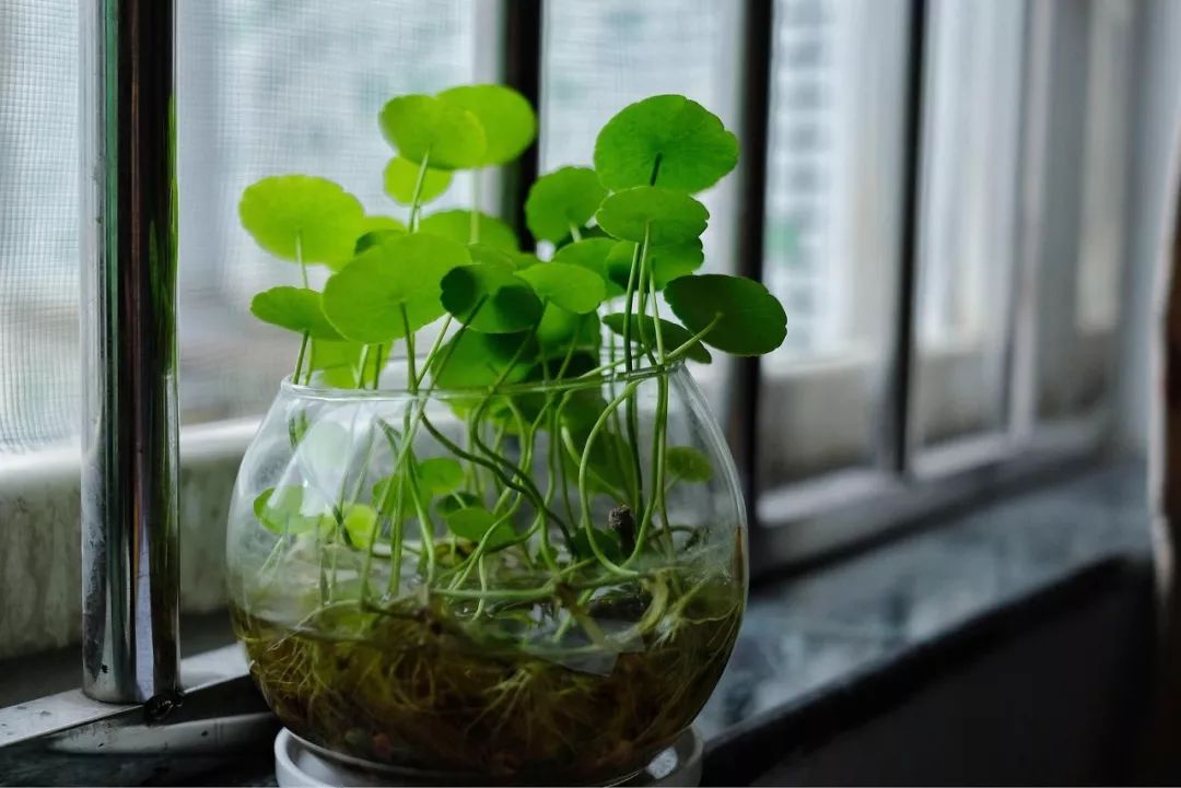 空调房老是有异味怎么办,空调房里感觉有臭味怎么回事