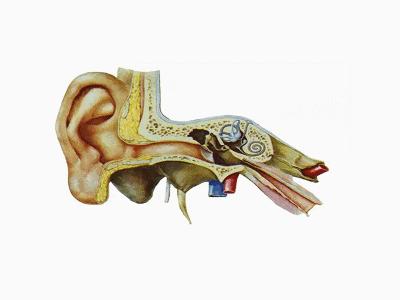游泳时耳朵进水正确的处理方法,游泳时耳朵进水了有点疼怎么处理