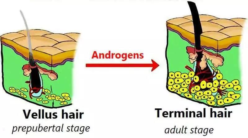 4招让孩子长到1米8,4岁小孩长胡须