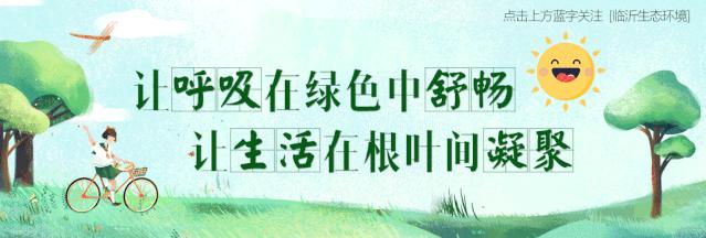 东莞生态环境整治,美丽中国排行榜前十名