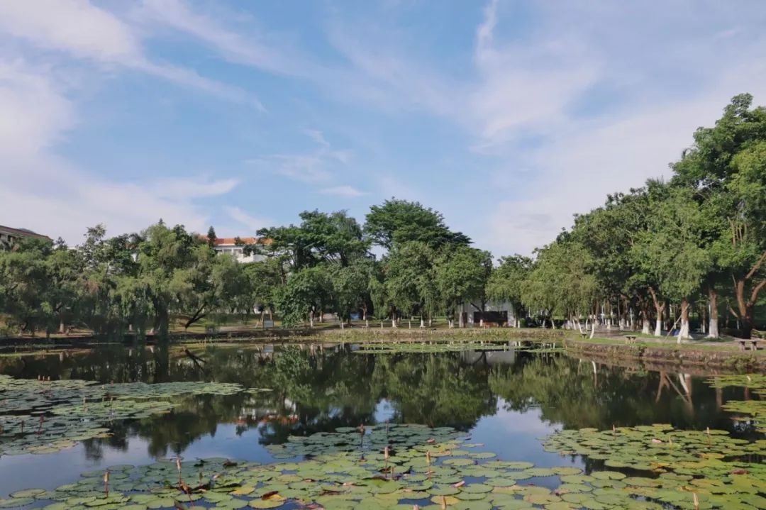 开学动感大片,开学震撼大片