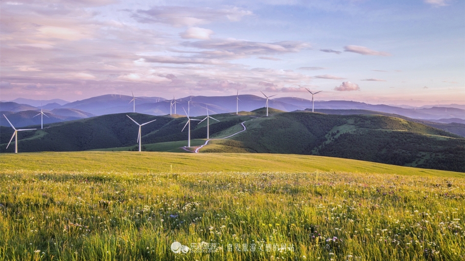 这个夏天来塞罕坝看看吧,坝上草原森林