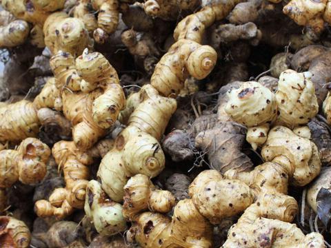 金线莲种植一亩利润多少,金线莲种植新商机