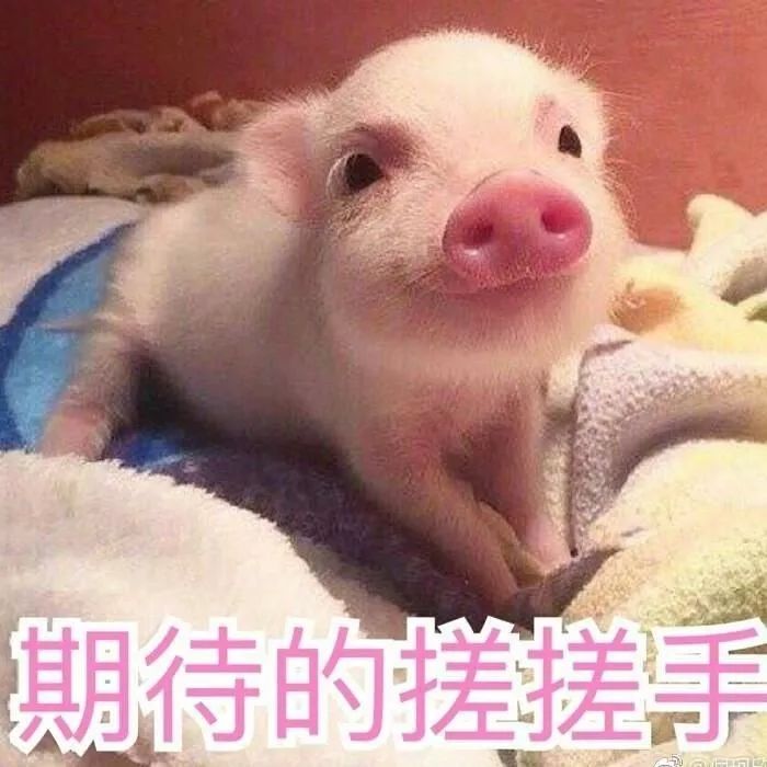 闽江工程学院怎么样,闽江学院好还是福建工程学院好