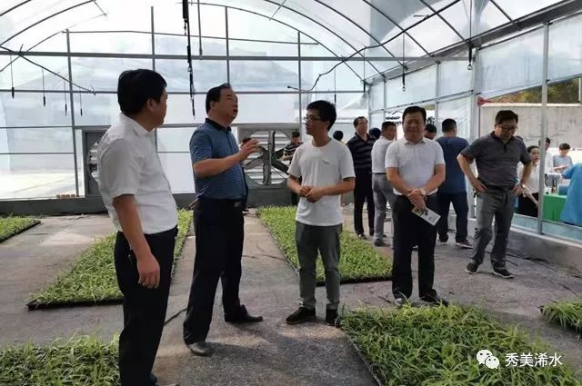 浠水现任县长黄强,红安黄强胤