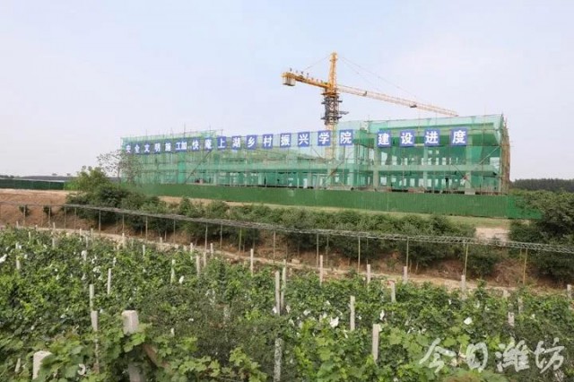 乡村振兴双百典型示范工程,乡村振兴项目四个一批