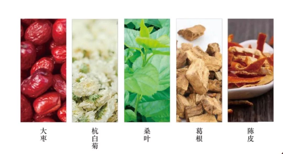 百人减肥大赛,全民减肥大赛