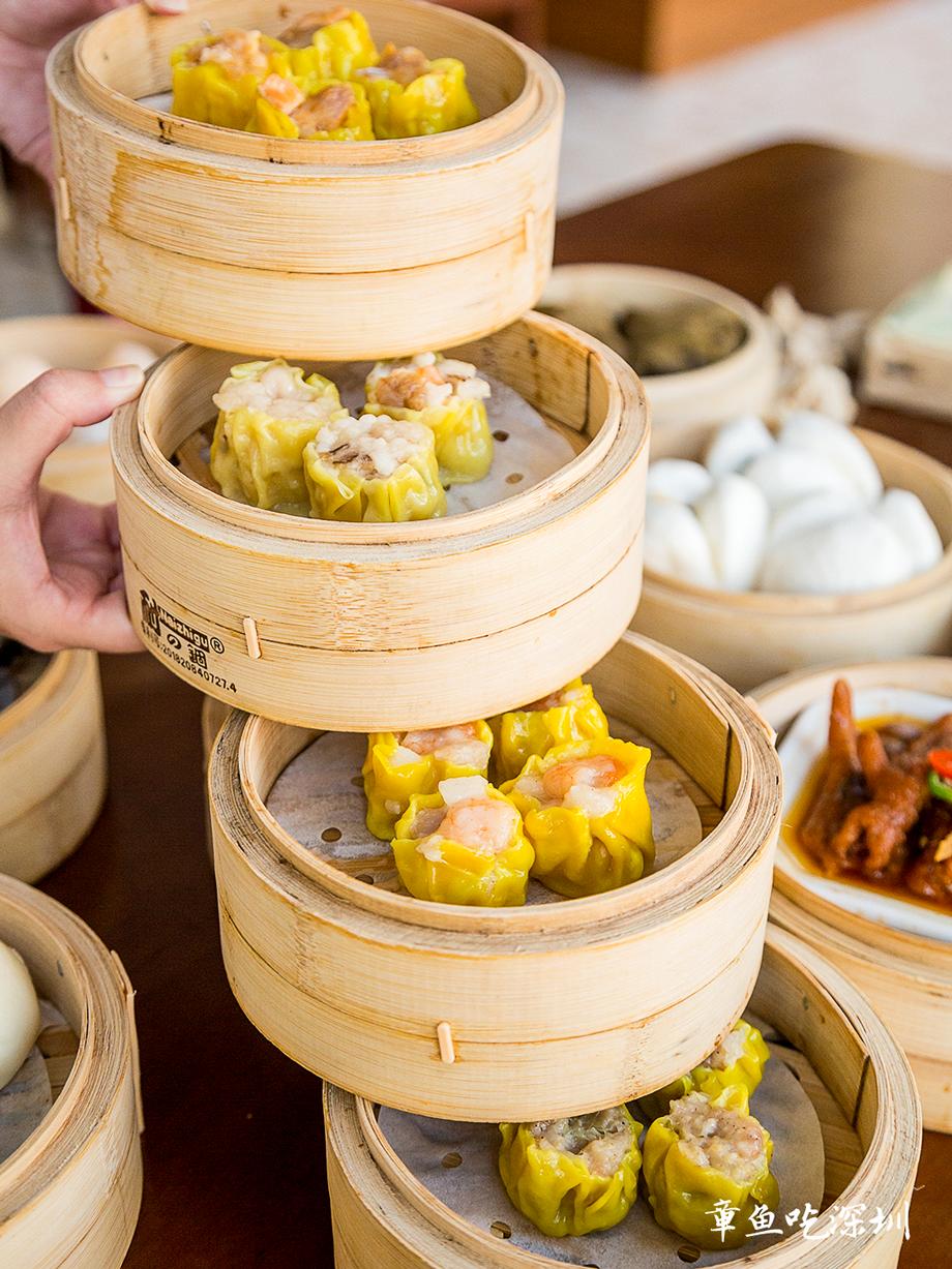 大龙华夜茶,大龙华夜茶怎么样