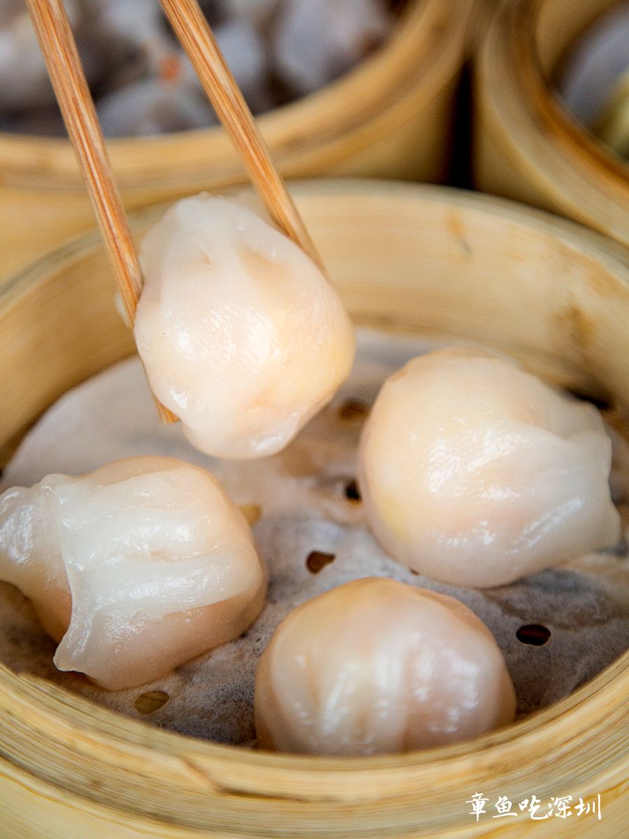 大龙华夜茶,大龙华夜茶怎么样