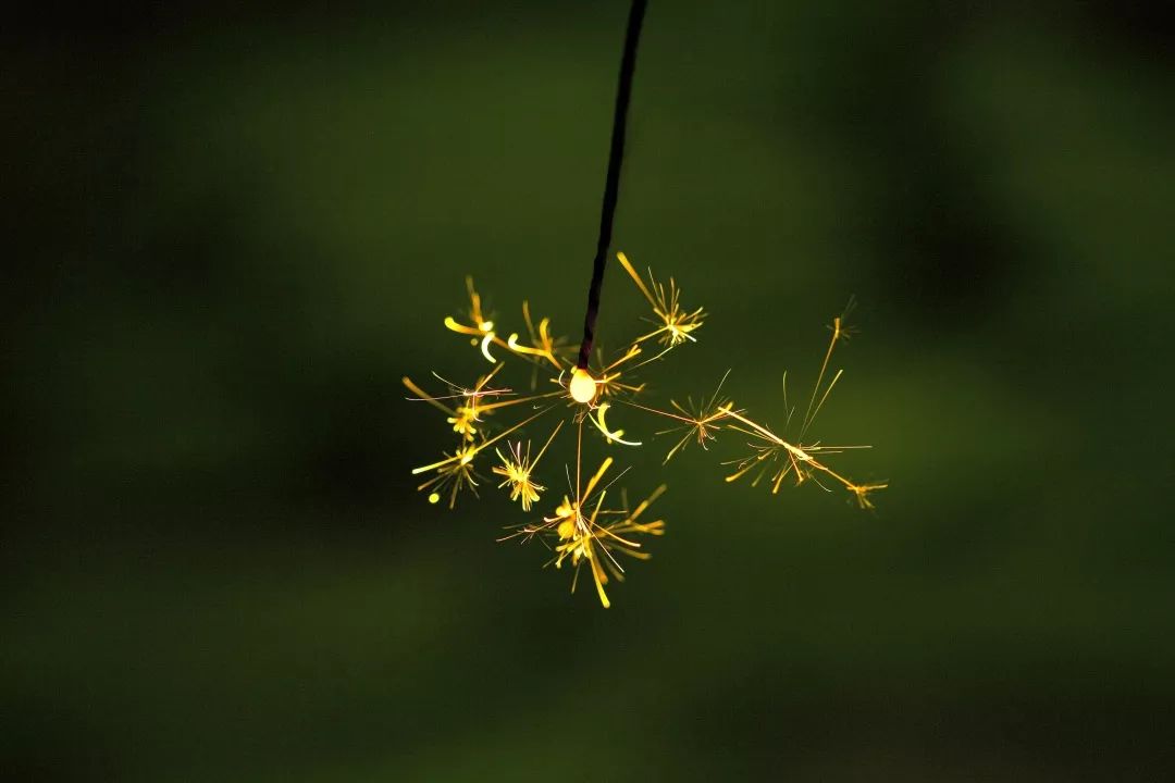 瞬间的璀璨，日本“線香花火”
