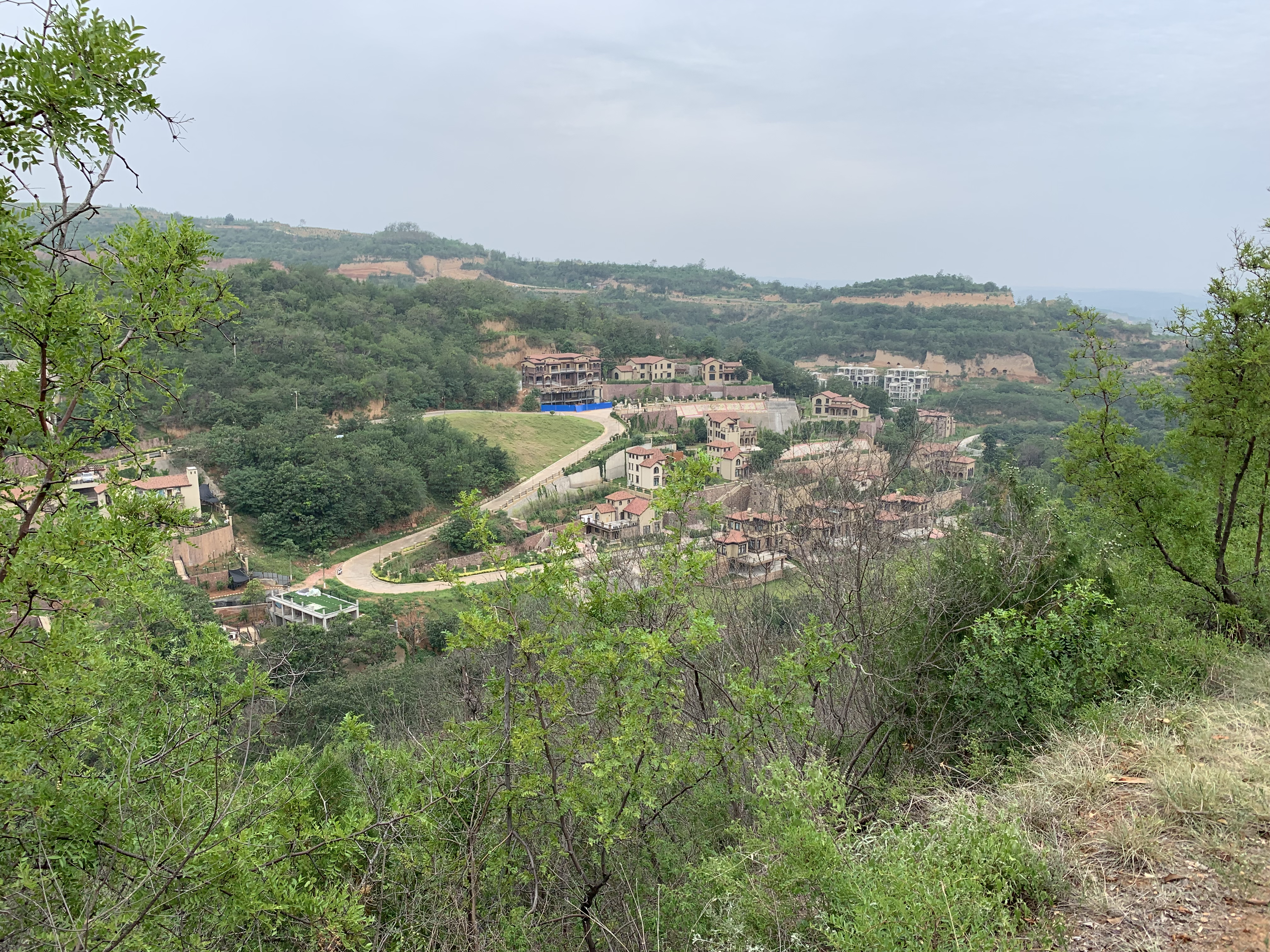 五云山别墅乱象,五云山乱象怎么处理的