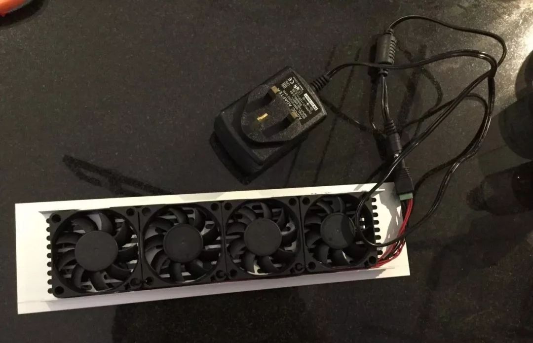 新开缸每天都有鱼死,新开缸鱼一直死