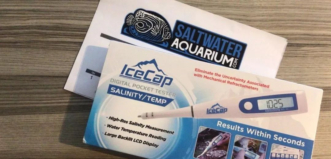 新开缸每天都有鱼死,新开缸鱼一直死