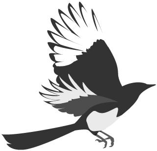 金山区第六届运动会足球赛事,市运会足球运动员比赛总结