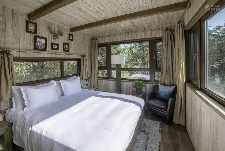 全球最受欢迎树屋酒店｜夜晚坠入大自然的梦乡，清晨在森林的枝桠间醒来