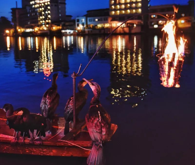 日本确定3月1日开放入境吗,日本开放办理工作签证的最新消息