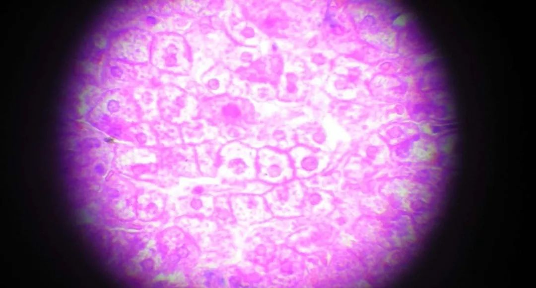 浠婃棩璇濋绉戞妧,浠婃棩绉戞妧璇濋