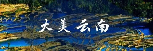 云南蒙自过桥米线的发源地,云南过桥米线发源地在哪里