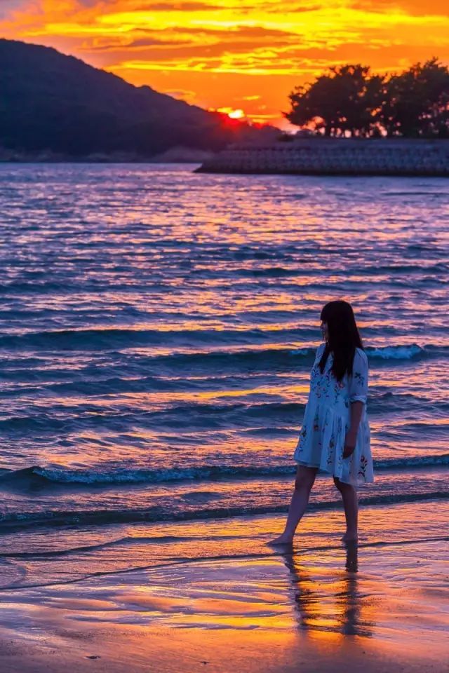 上海赏枫小众景点,小众赏枫