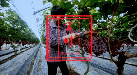 要你好看！“海盐十二时辰”上演