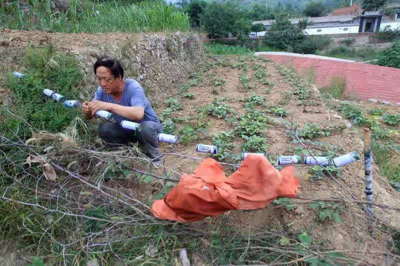 天蓬元帅别惹农夫怎么解锁,天蓬元帅下界被欺负