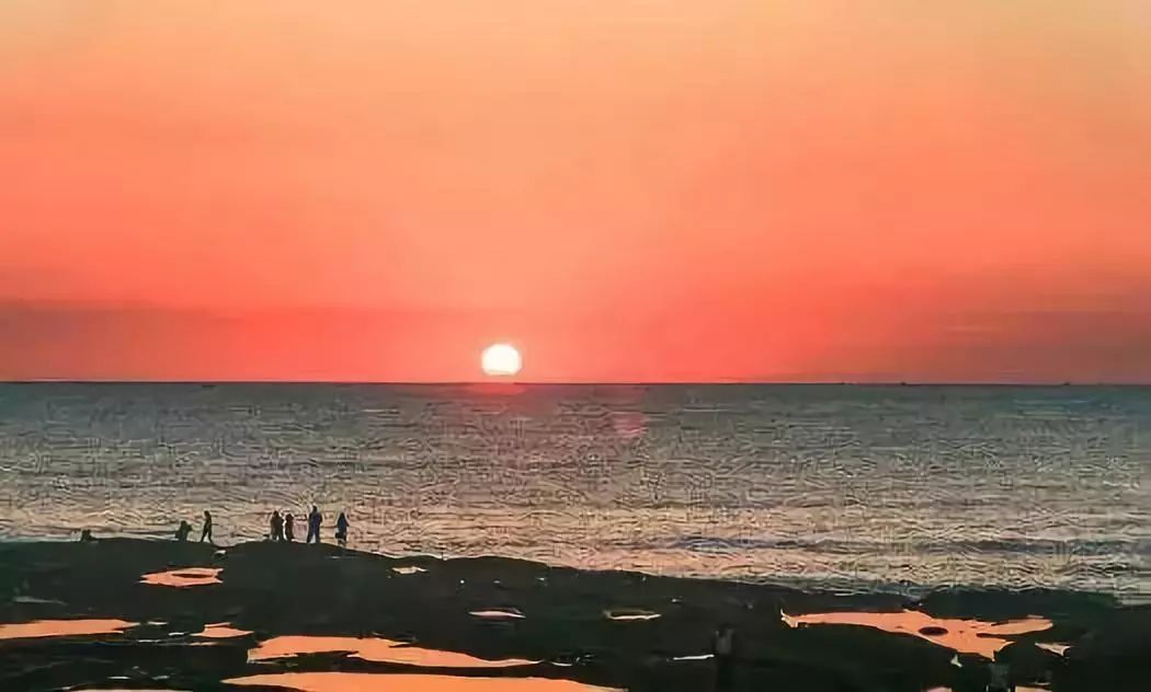 海洋生态环保主题方案,海洋生态环境科普保护宣传视频