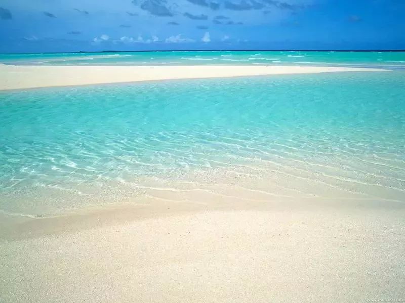 海洋生态环境污染现状,关于环保的海洋科普知识