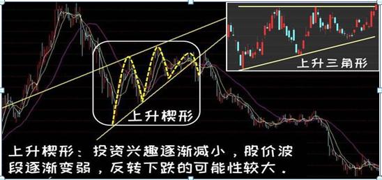 一个猴子的故事大全,一个猴子真实故事