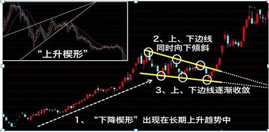 一个猴子的故事大全,一个猴子真实故事