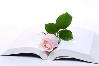 淘书省钱,怎样淘到好看的书