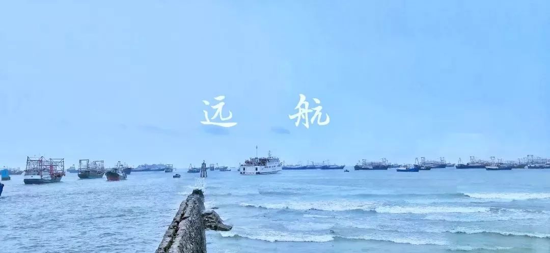 玉林侬，冲鸭！北海8月16日开海，教你在哪里买海鲜最新鲜，最实惠~