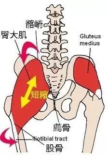 乐坛大佬组团关门“搞副业”，小清新入职报道狂减40斤？