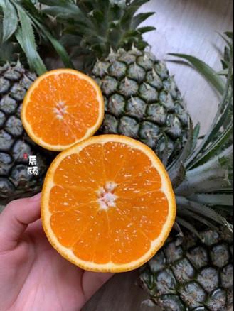 辰颐物语代理下单系统,辰颐物语鲜果直供招商平台