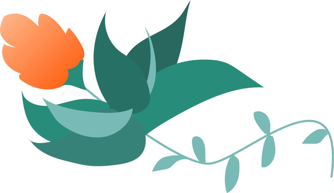 中新置地项目,中新置地开发有限公司