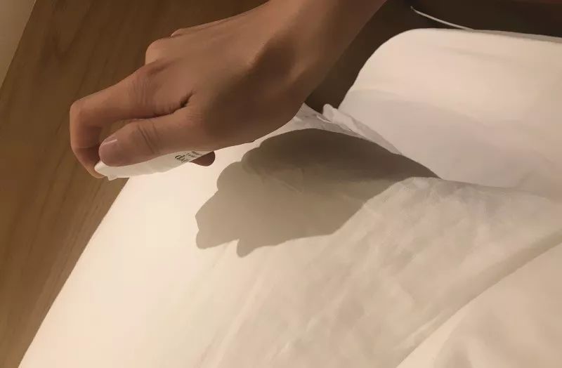 狮子月的运气如何,狮子九月运势