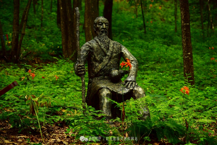 云岭深山自然美景,云岭野山参风景旅游区