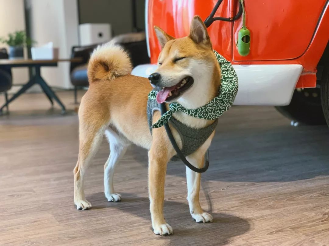 本周六日本仲夏夜祭·情报再开，旅行体验师宝藏玩法分享会