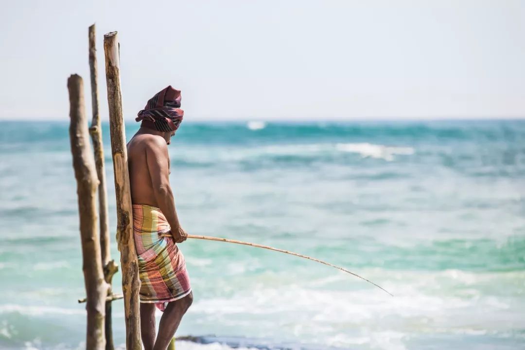 斯里兰卡对中国游客免签30天,斯里兰卡对华限时免签