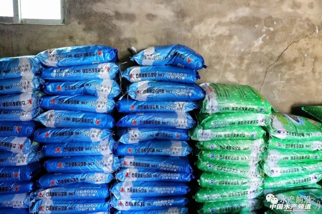 国内能养的虎类品种排行,什么品种的虎最好养