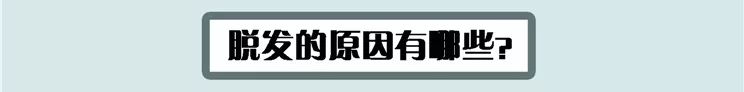 女人老了头发越来越少是怎么回事,头发越来越细越来越少是什么原因