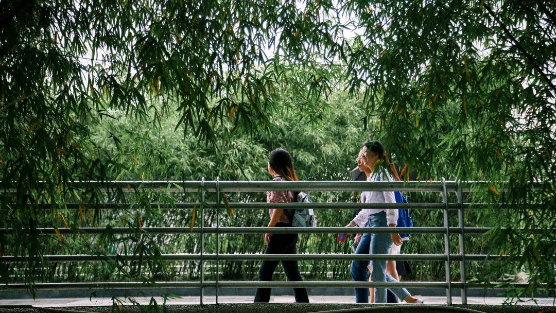 再见宜宾完整版,再见江小白歌曲