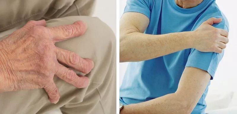 明星各个都有“干货”，你这个“湿人”就别诗情画意了