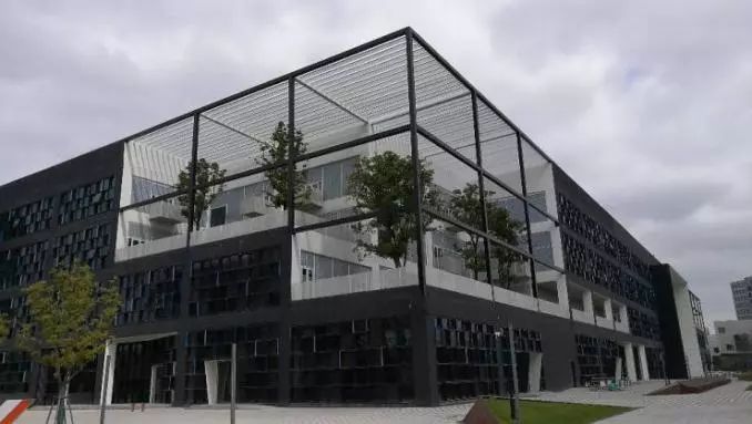 浦东到底有哪些地方,未来浦东的样子