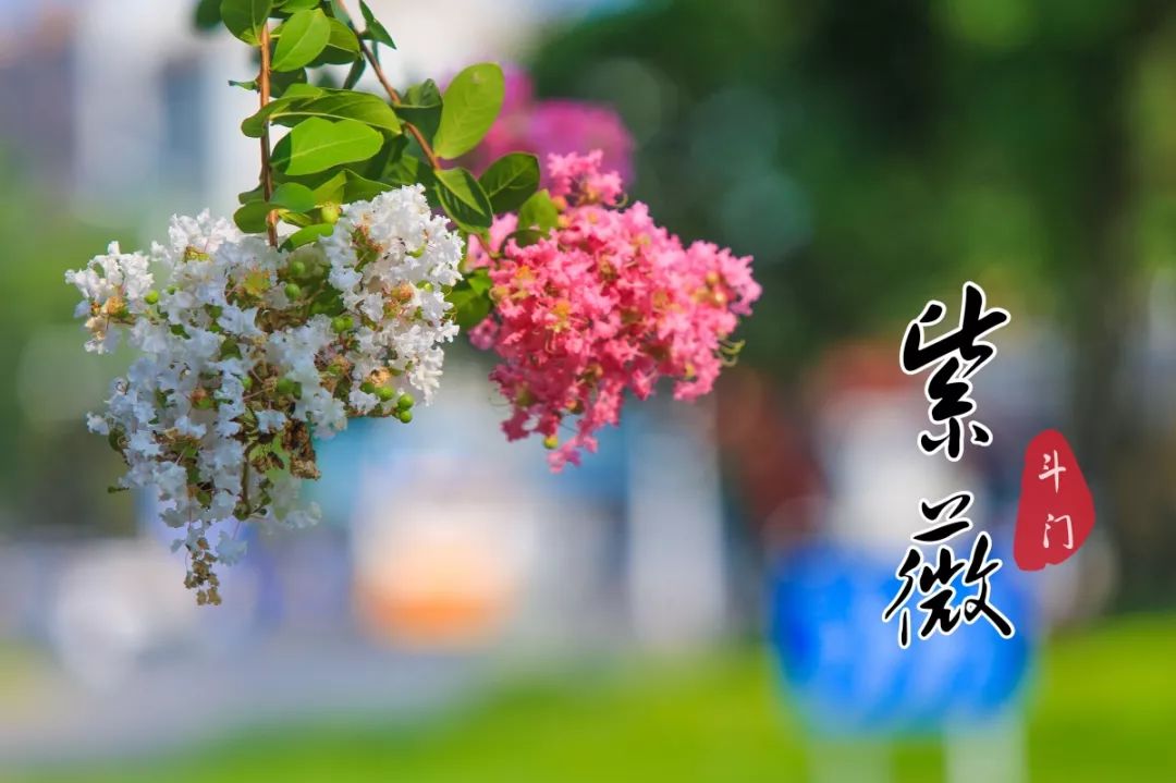 喜欢拍照的快来打卡,想去拍照的景点